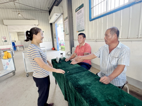 “阳光收购”暖民心